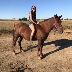 Meet your Posher, Harley